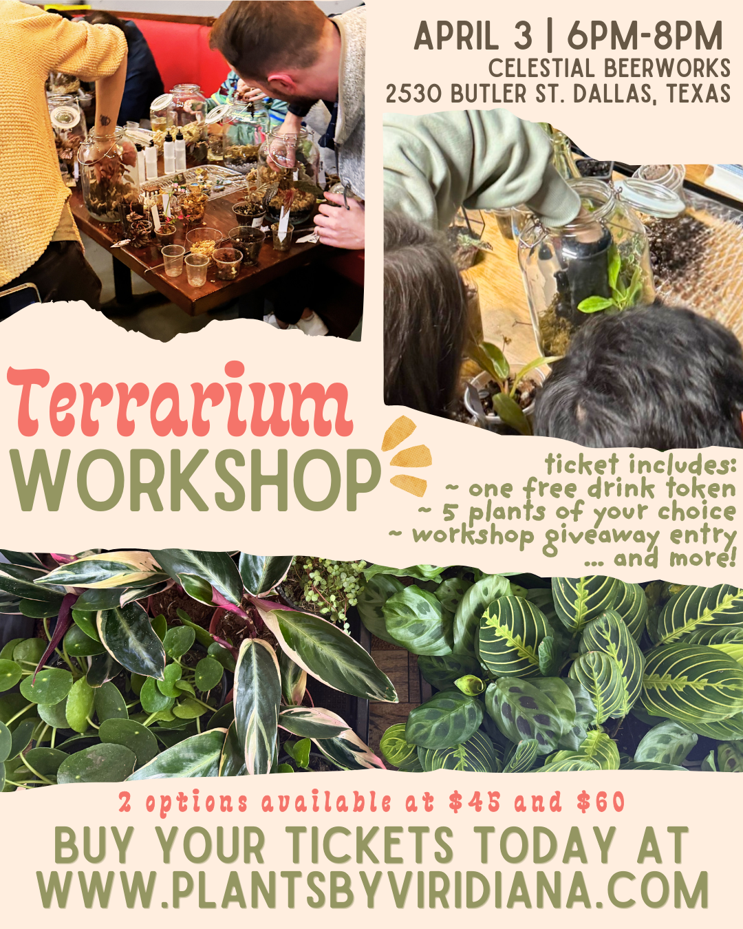 April Terrarium Workshop - 4.3.26 @ Celestial Beerworks