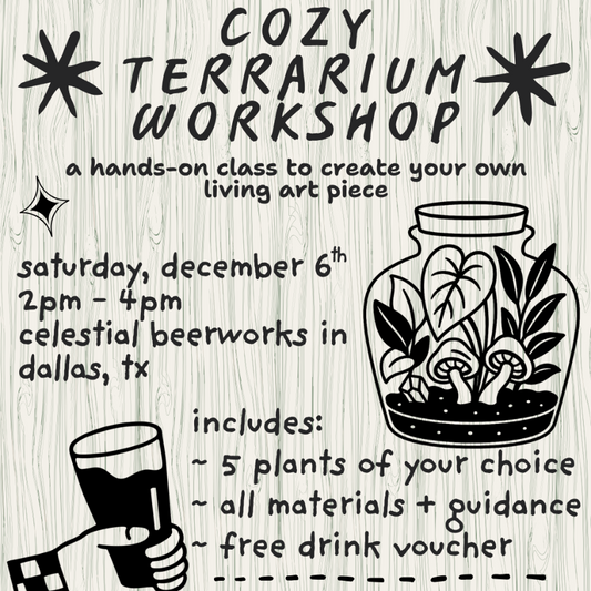 Cozy Terrarium Workshop - Celestial Beerworks (Dec 6)