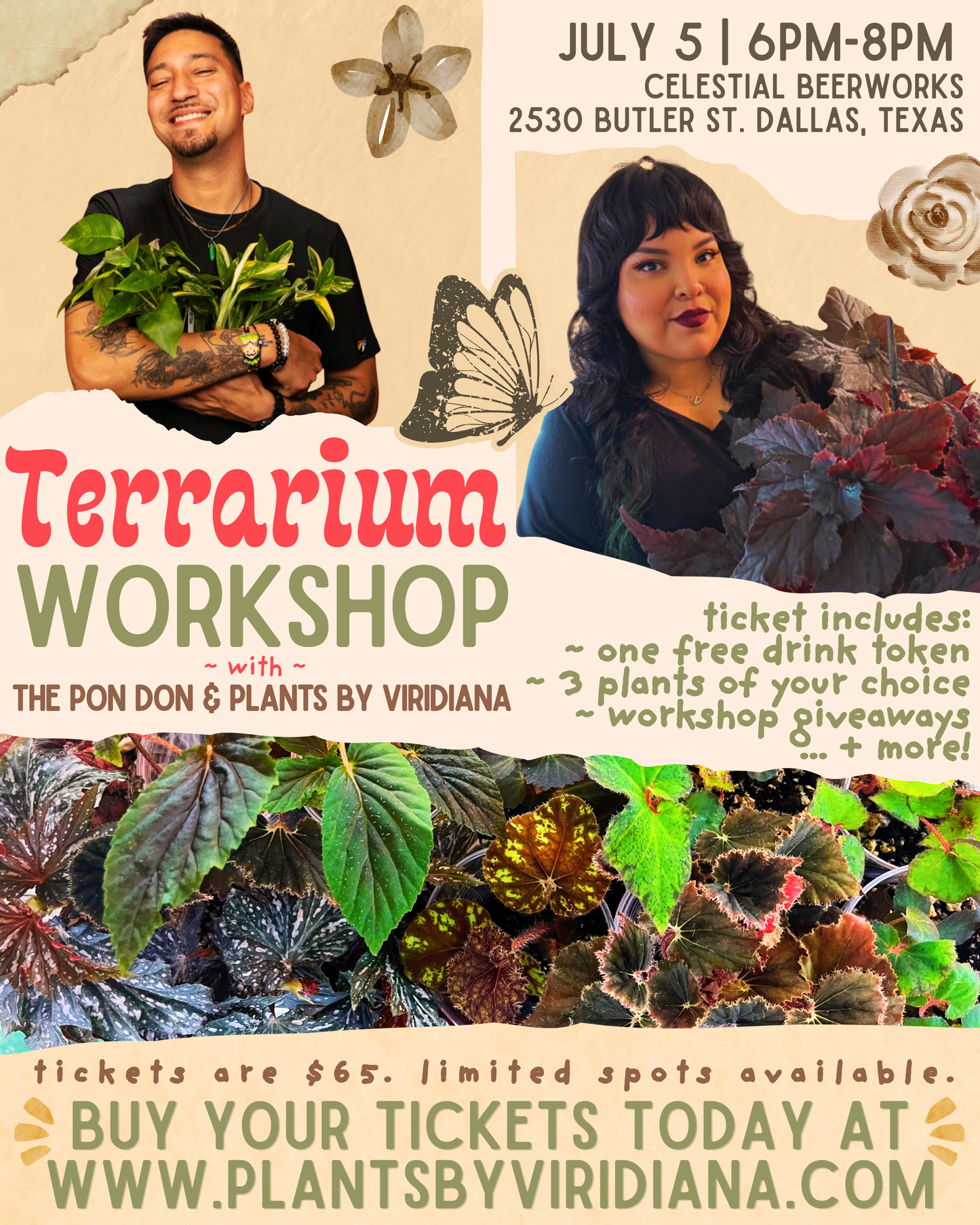 Special Terrarium Workshop - 7.5.26 @ Celestial Beerworks