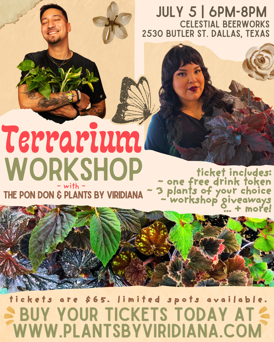Special Terrarium Workshop - 7.5.26 @ Celestial Beerworks