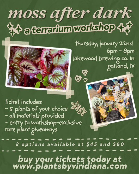 Moss After Dark - Terrarium Workshop - January 22nd