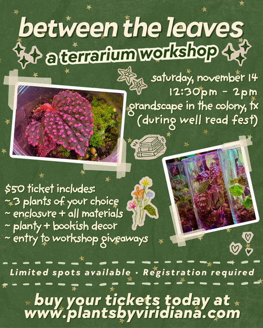 Between the Leaves: A Terrarium Workshop @ Well Read Fest - 11.14.26